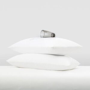 Pillow protector 2